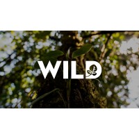 Пакет Wild - 139 познавательных IPTV телеканала через интернет